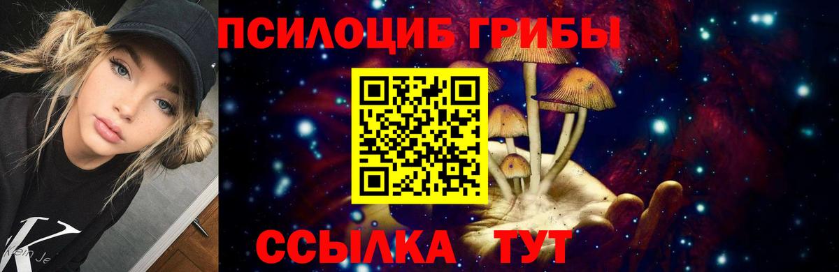 Галлюциногенные грибы Psilocybe  Вход с VPN  Нальчик 